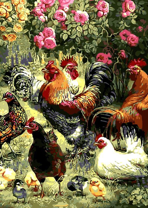 Malowanie po numerach – Wiejskie kury – 40×50 rama