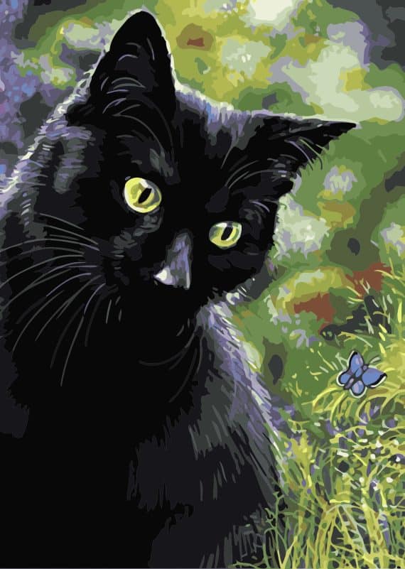 Malowanie po numerach – Czarny kot – 30×40 rama